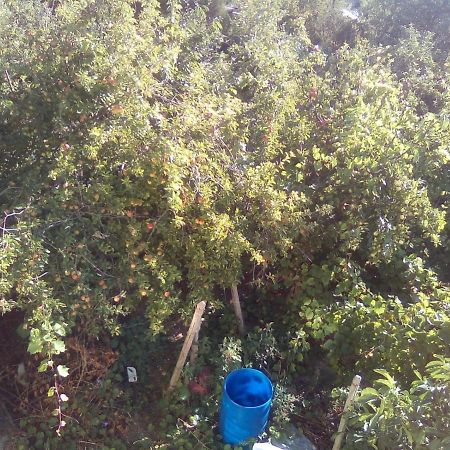 Вилна Зона Златни Пясъци, Спирка Ален Мак Βάρνα Εξωτερικό φωτογραφία