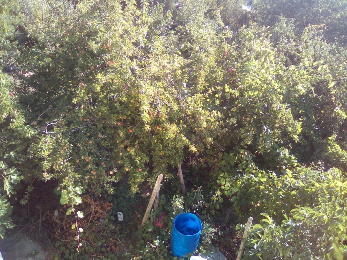 Вилна Зона Златни Пясъци, Спирка Ален Мак Βάρνα Εξωτερικό φωτογραφία